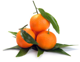 clementines with segments