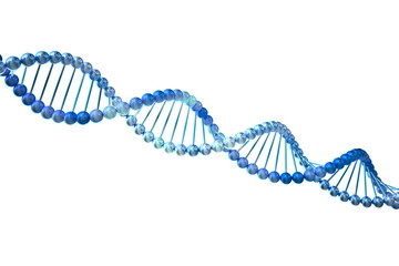 3d DNA. Isolated on white background