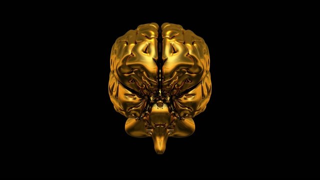 3D Gold Brain 360&deg; Video auf Schwarz
