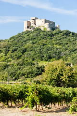 castle Saint Martin with vineyard, Languedoc-Roussillon, France - obrazy, fototapety, plakaty