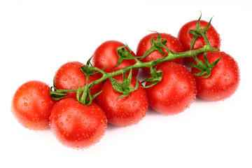 tomatoes