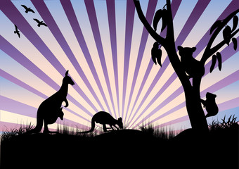 koala and kangaroo in purple rays © electra kay-smith