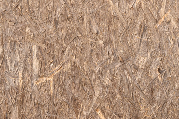 Wood background