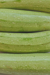 Courgettes zucchini