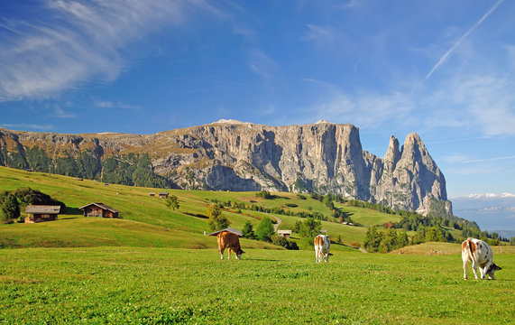 Blick auf den Schlern auf der ber&uuml;hmten Seiseralm
