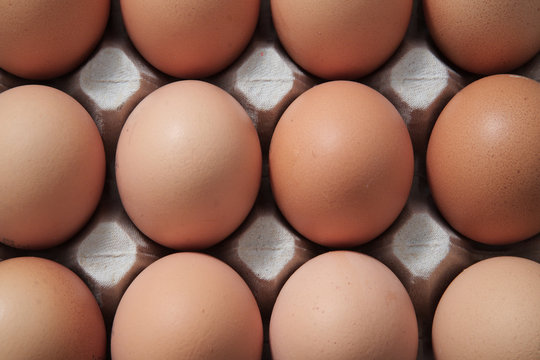 Eier