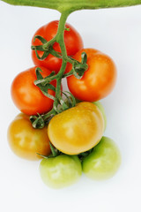 tomato with stemmed
