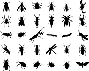 Set of bugs silhouette - vector