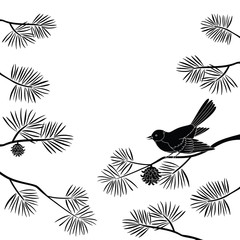 Titmouse on pine branch, cutout