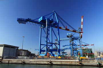 Fototapeta na wymiar crane in Genova port, Italy