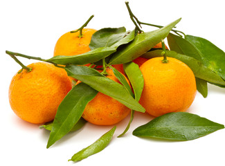 Ripe tangerines on white background