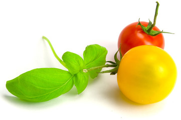 Tomaten