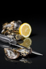raw mussel food