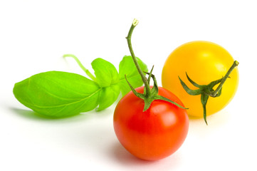 Tomaten