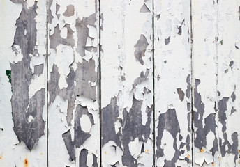 White flaky paint on a old weathered wooden fence.