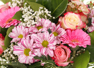 Blumen / Dahlia / Rose / Gerbera