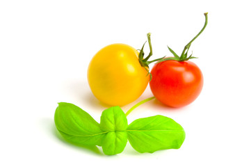 Tomaten