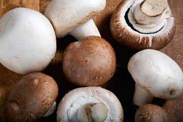 Champignons