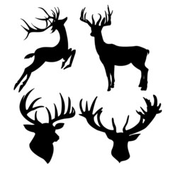 deer silhouette isolated on white background