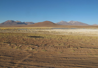 Altiplano, Cordillera de los Andes