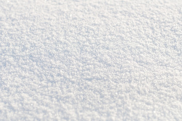 Background from white  snow. Small depth of focus center.