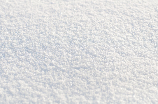 Background from white  snow. Small depth of focus center.