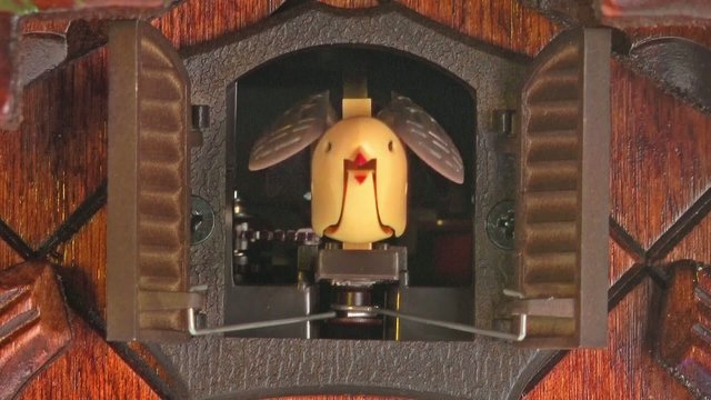 cuckoo clock ringing