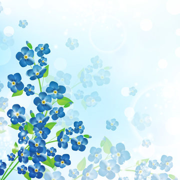 forget-me-not flower background