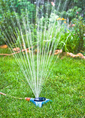 Watering hose and lawn sprinkler - water gardening tools.