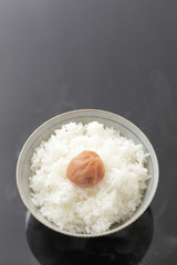 炊きたてご飯と梅干し