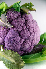 Purple cauliflower