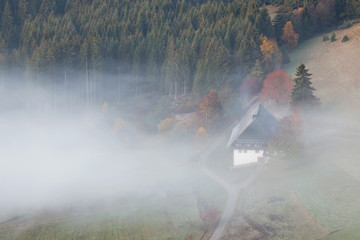 Fototapeta premium Bauernhasu im Nebel