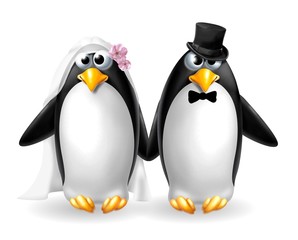 Obraz premium pinguini sposi