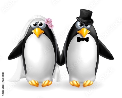 pinguini sposi" Immagini e Fotografie Royalty Free su Fotolia.com ...
