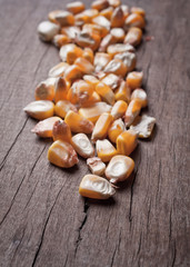 corn grain