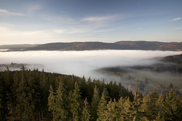 Fototapeta premium Schwarzwaldmorgen