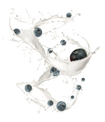 Blueberries in milk splash, isolated on white background