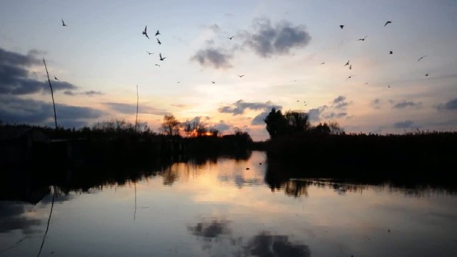 Massaciuccoli
