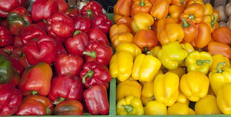 peppers, 3 colors