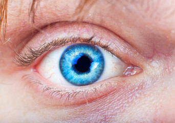 Fototapeta premium Close-up of blue eye