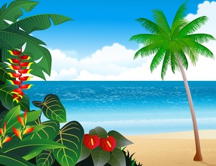 Fototapeta na wymiar Tropical beach background