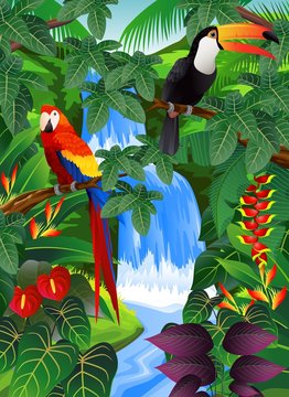 Beauiful tropical background