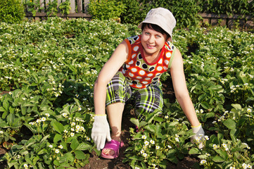 The woman-gardener among blossoming wild strawberry