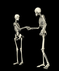 Skeletons Meeting