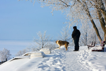 Winter  scenery in park
