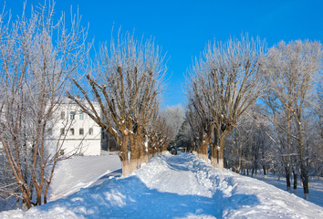 Winter  scenery in park