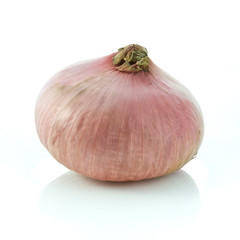 Red shallot