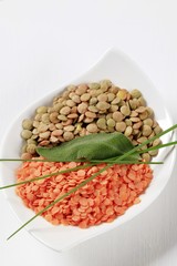 Dried lentils