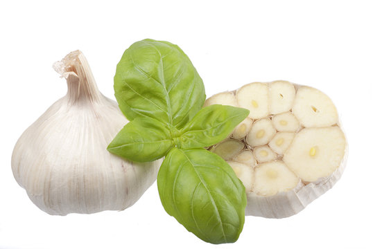 DIE 120 BESTEN BILDER, STOCKFOTOS UND ZU „Chnobli