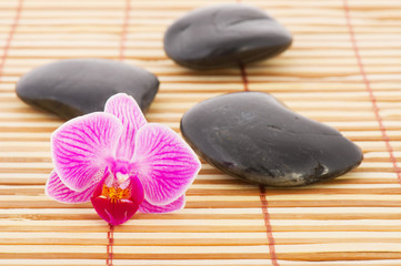 Orchid and hot stones